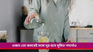 Diwali: দীপাবলির ভুরিভোজের পর শরীরকে ডিটক্স করা জরুরি, ডায়েটে রাখুন এই ৪ পানীয় 