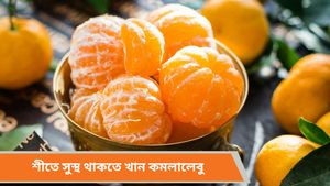  Winter health care: শীতকালে রোজ খান কমলালেবু, ক্যানসার সহ নানা রোগ থেকে বাঁচাবে এই সুপারফুড!  