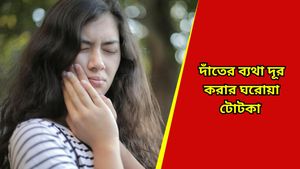 Toothache: দাঁতে যন্ত্রণায় রাতের ঘুম উড়েছে? ঘরোয়া প্রতিকারে নিমেষেই পাবেন স্বস্তি 