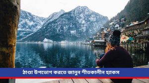 Winter hacks: শীতকাল উপভোগ করতে চাইলে অবশ্যই জেনে নিন এই হ্যাকগুলি, রোগ ছুঁতেও পারবে না! 