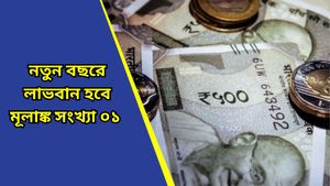 Prediction 2025: নতুন বছরে চাকরিতে পদোন্নতি, তবে ব্যবসায় বাধা-বিঘ্ন, আপনার নয় তো এই মূলাঙ্ক? 