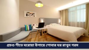 Winter Tips: হিটারের ব্যবহারে বাড়ে স্বাস্থ্য ঝুঁকি! কনকনে ঠাণ্ডায় হিটার ছাড়াই ঘর গরম রাখার টিপস 