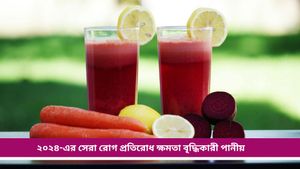 Year Ender 2024: চলতি বছরের সেরা অনাক্রম্যতা বৃদ্ধিকারী পানীয় কী জানেন? দেখে নিন এক ঝলকে 
