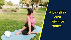 Winter health care: শীতে জয়েন্টে ব্যথা বেড়েছে? স্ট্রেচিংয়েই পাবেন সুফল, থাকবেন ফিট সারাবছর 