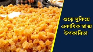 Benefits of jaggery: ক্রমাগত বাড়ছে দূষণের মাত্রা, সুস্থ থাকতে খাদ্য়তলিকায় অবশ্যই রাখুন ''গুড়
