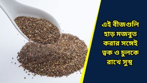 Health tips: সুস্থতার রেজোলিউশন নিয়ে শুরু করুন নতুন বছর, ডায়েটে রাখুন এই বীজগুলি