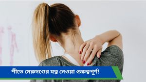Winter Health tips: ঠাণ্ডা বাড়তেই ক্রমশ মাথাচাড়া দিচ্ছে মেরুদণ্ডের ব্যথা, জানুন কীভাবে এড়াবেন 