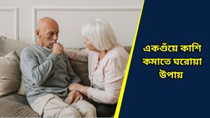 Winter Tips: কাশতে কাশকে বুকে ব্যথা, সিরাপেও কমছে না! একগুঁয়ে কাশিকে হার মানাবে এই ঘরোয়া টোটকা