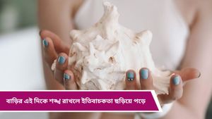  Vastu tips: যে শঙ্খ পুজোর জন্য রাখা, সেই শঙ্খই বাজান? সাবধান! হতে পারে চরম দুর্ভোগ 