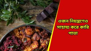 Curry leaves: কোষ্ঠকাঠিন্য বা অ্যাসিডিটি কোনও কিছুই ছুঁতে পারবে না আপনাকে, যদি রোজ খান এই চমৎকারী পাতা! 