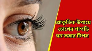 Beauty Tips: চোখের পাপড়ি ঝরে যাচ্ছে? বছর শেষে নিজেকে সাজিয়ে তুলুন নতুন করে 