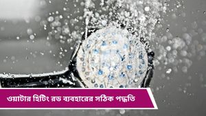 Heating Rod: চুটিয়ে ব্যবহার করছেন ওয়াটার হিটিং রড? সামান্য ভুলেও হতে পারে করুণ পরিণতি! 