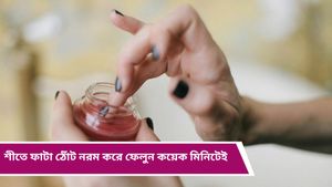 Winter beauty tips: শীত পড়তেই ঠোঁট ফেটে বের হচ্ছে রক্ত? ঠোঁটের যত্নে ঘরেই তৈরি করুন লিপবাম 