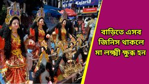 Vastu tips: নতুন বছর শুরুর আগে বাড়ি থেকে বিদায় দিন এসব জিনিস, ভাগ্য খুলে যাবে!    