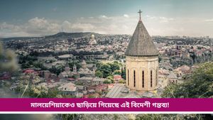 Travel Year Ender 2024: আপনি কি জানেন এই বছর গুগলে সবচেয়ে বেশি সার্চ হওয়া ফরেন ডেস্টিনেশন কোনগুলি?  