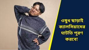 Health Tips: শীতে হাড়ের ব্যথায় কাতরাচ্ছেন? ডায়েটে রাখুন এই বীজ, ক্যালসিয়ামের ভাণ্ডার! 