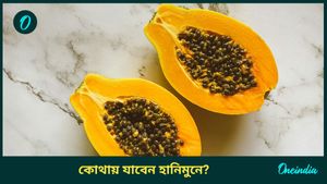 Halwa recipe: এবারের শীতে গাজরের হালুয়া নয়, চটজলদি বানিয়ে ফেলুন পেঁপের হালুয়া! 