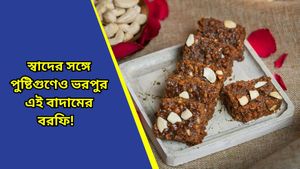 Peanut barfi: শীতে নামমাত্র খরচে জিভে জল এনে দেবে এই বরফি, জেনে নিন রেসিপি 