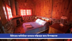 Side effects of heaters: শীতে উষ্ণতা পেতে ব্যবহার করছেন রুম হিটার? পার্শ্বপ্রতিক্রিয়া জানলে আঁতকে উঠবেন