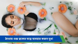 Winter Skin Care: নামীদামি প্রসাধনী নয়, এই প্যাক ব্যবহার করলেই ফিরে পাবেন ত্বকের হারানো জেল্লা     