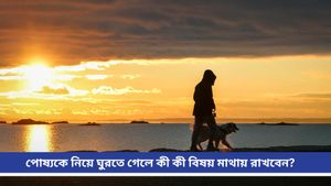 Travel: ডিসেম্বরের ছুটিতে ঘুরতে যাওয়ার পরিকল্পনা? সঙ্গী হোক পোষ্য, তবে মাথায় রাখুন এই টিপসগুলি 