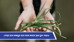  Hair care: হাজার চেষ্টাতেও চুল পড়া কমছে না? চুলের যত্নে থাকুক এই উপাদান 