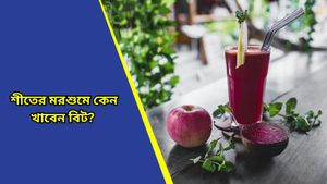 Health Tips: রক্তচাপ নিয়ন্ত্রণ করবে, সঙ্গে রয়েছে আরও অনেক গুণ, শীতে রোজ বিট খাচ্ছেন তো?    