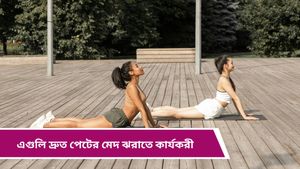 Yoga for belly fat: পেটের মেদ ঝরাতে বাড়িতেই করুন এই যোগাসনগুলি, একমাসেই গলবে মেদ! 