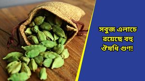 Health tips: ওজন কমানোর সঙ্গেই রাখে হার্টের স্বাস্থ্য ভালো! রান্নাঘরের এই ছোট উপাদানের গুণ জানেন? 