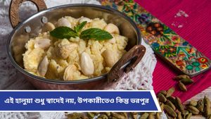 New Year celebration: নতুন বছরকে স্বাগত জানাতে করুন মিষ্টিমুখ, তাও নিজের বানানো এই বিশেষ হালুয়া দিয়ে!   