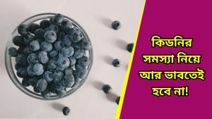 Health tips: কিডনির অসুখের সঙ্গে কঠিন লড়াই করছেন? এই খাবারগুলিতেই জব্দ হবে রোগ  