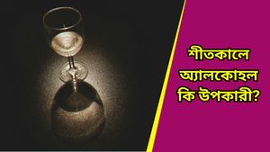 Drinking in Winter: শীতে অ্যালকোহল খেলে কি সত্যিই সর্দি-কাশির প্রকোপ কমে? কী জানাল হু