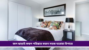 Cleaning tips: কম্বল থেকে দুর্গন্ধ-জমেছে ময়লা? স্বল্প পরিশ্রমেই করুন বাজিমাত!  