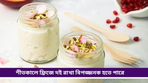 Health tips: শীতে ফ্রিজে রাখা দই কি স্বাস্থ্যকর, নাকি হতে পারে জটিল শারীরিক সমস্যা? 