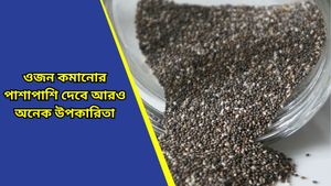  Home Remedies: রোজ সকালে খালি পেটে খান মেথি-চিয়া বীজ ভেজানো জল, পার্থক্য নিজেই বুঝবেন!