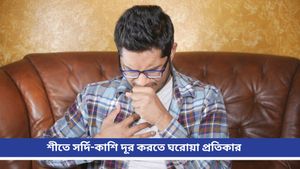 Black cardamom: কাশির চোটে রাতের ঘুম উড়েছে? আয়ুর্বেদের গুণেই হবে নিপাত!   