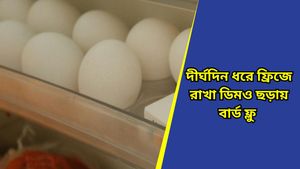  Bird flu: ফ্রিজ থেকেও ছড়াতে পারে বার্ড ফ্লু, সাবধান! জরুরি পরামর্শ দিলেন চিকিৎসকেরা 