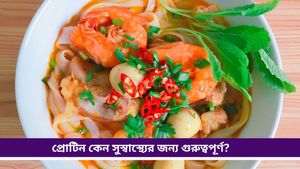 Protein deficiency: ঘনঘন অসুস্থ হচ্ছেন, সঙ্গে রুক্ষ-শুষ্ক চুল? হতে পারে প্রোটিনের অভাব 