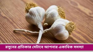  Garlic Remedies: আর্থিক সংকট বা কুদৃষ্টি এড়াতে ট্রাই করুন রসুনের এই টোটকা, আসবে টাকা!   