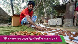  Jaggery: চিনি নয়, চায়ে মেশাচ্ছেন গুড়! বিকল্প হিসেবে সত্যিই কি স্বাস্থ্যকর? 