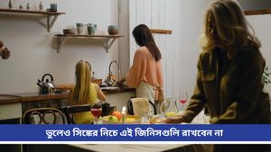 Vastu tips: সর্বনাশ! রান্নাঘরের সিঙ্কের নিচে এসব রাখছেন? বাড়বে চরম আর্থিক সঙ্কট! 