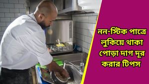 Kitchen Tips: বাসনের পোড়া জেদি দাগ চুটকিতে হবে নতুনের মত চকচকে! রইল ঘরোয়া টোটকা 