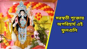 Saraswati Puja 2025: বাগদেবীর আরাধনা এইসব ফুল ছাড়া অসম্পূর্ণ! কোন ফুল জানেন? 