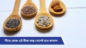 Winter seeds: নানা গুণে সমৃদ্ধ এসব বীজ, শীতে সুস্থ থাকতে অবশ্যই রাখুন ডায়েটে! 