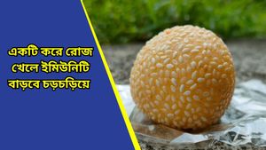  laddu Recipe: শীতে ইমিউনিটি বাড়ানোর সঙ্গে শরীর উষ্ণ রাখতে খান এই পুষ্টিকর লাড্ডু, রইল সহজ রেসিপি 