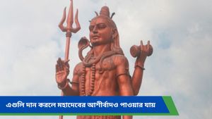 Vastu tips 2025: নতুন বছরে অভাবীদের দান করুন এই জিনিসগুলি, টাকা আসবে হু হু করে!     