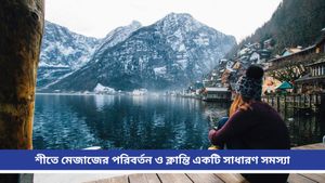  Winter diet: শীতে মেজাজ খিটখিটে? এই খাবারগুলি ডায়েটে রাখলেই মেজাজ থাকবে ফুরফুরে! 