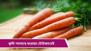 Deworming: ওষুধ ছাড়াই কৃমি তাড়ান, লাগবে শুধু রান্নাঘরে থাকা এইসব জিনিস! 