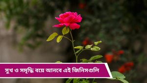 Astro Tips: সৌভাগ্য ফেরাতে এসব জিনিস রাখুন বাড়িতে, মিটবে আর্থিক সংকট!