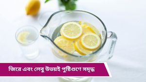 Health care: প্রতিদিন সকালে খালি পেটে এই পানীয়ে চুমুক দিন! মাত্র ৩০ দিনেই নজরকাড়া পরিবর্তন